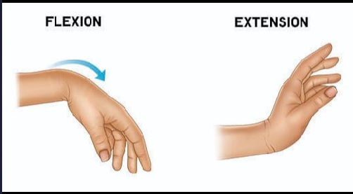 Hand Rest Test Game